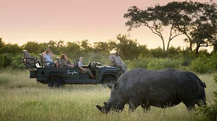 "Travelers on a safari game drive watch a rhinoceros grazing in the South African bushveld