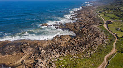 A segment of the Coastal Camino, Portugal.