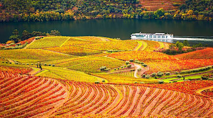 Autumn in Douro Valley, Portugal