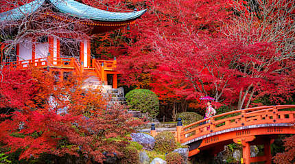 Daigo-ji Temple with autumn foliage in Kyoto, Japan