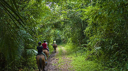 Horseback riding in Belize