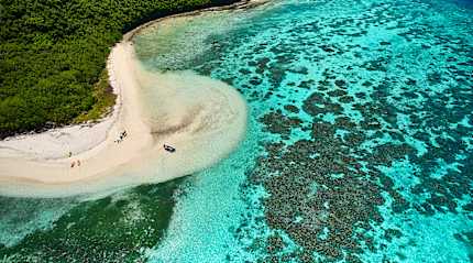 Coral Reef in Fiji. 