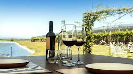 Wine in the Mendoza vineyards.