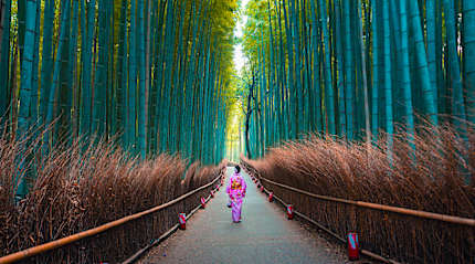 The Arashiyama bamboo forest in Kyoto
