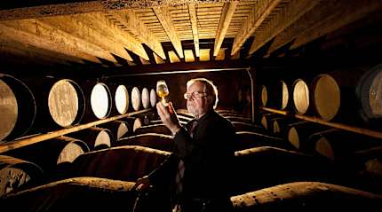 Worker testing whisky in distillery