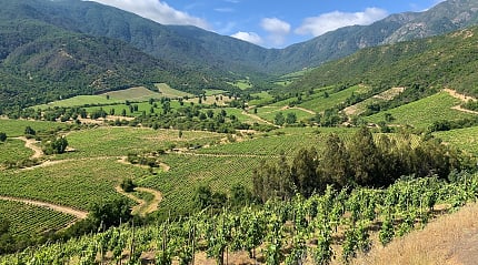 Vineyards surrounded by mountains in Colchagua Valley, Chile