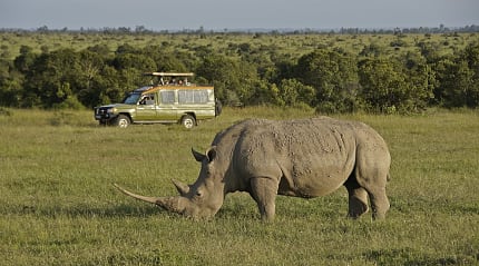 Tourists in a safari vehicle view a rhinoceros grazing at Ol Pejeta Conservancy in Kenya