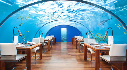 Ithaa Undersea Restaurant in the Maldives. Photo courtesy of Conrad Maldives Rangali Island