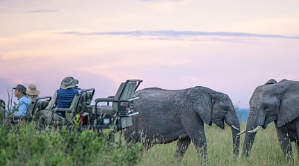 Couple experiencing a close encounter with two elephants.