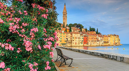Spring blooms in Rovinj, Croatia