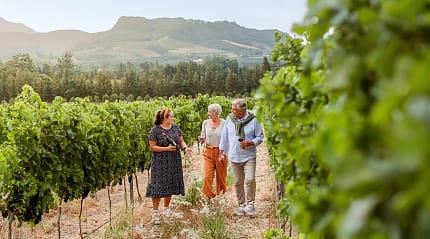 Senior couple in Cape Winelands, South Africa