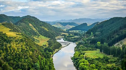 Lush green countryside along the Whanganui River in New Zealand