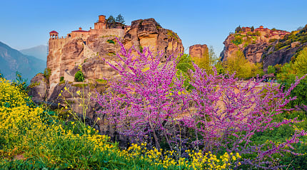 Spring blossoms near the monasteries in Meteora, Greece
