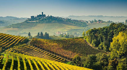 Vineyards in autumn, Langhe, Piedmont
