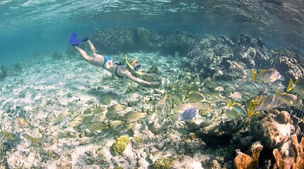 Snorkeling in Belize