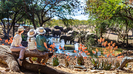Mother and kids on African safari enjoying elephants at watering hole