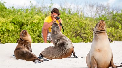 Man photographing sea lions on a beach in the Galapagos Islands