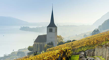 Vineyards of the Lake Biel in Switzerland