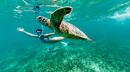 Two women snorkeling with a sea turtle in the clear blue waters of Okinawa, Japan
