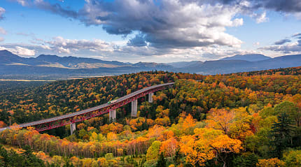 Fall foliage in Hokkaido, Japan