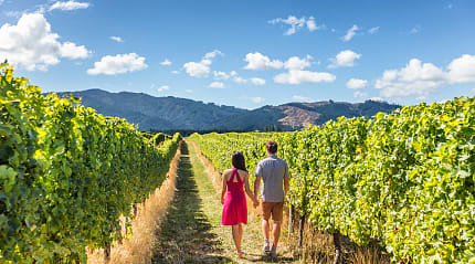 Couple exploring vineyards in New Zealand