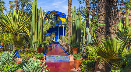The Majorelle Garden in Marrakech, Morocco