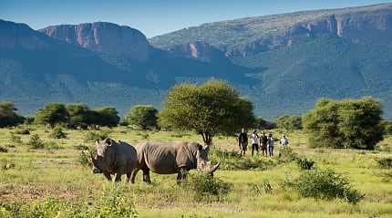 Bush walk with Marataba Safari, South Africa