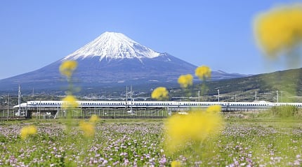 Shinkansen bullet train passing Mt Fuji in Japan