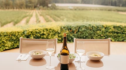 Cape Town meal at a wine farm.