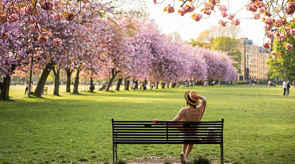 Park in Edinburgh, Scotland during spring