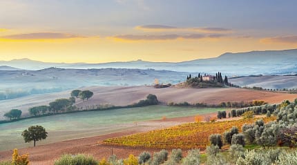 Golden Autumn Fields of Val d'Orcia in Tuscany