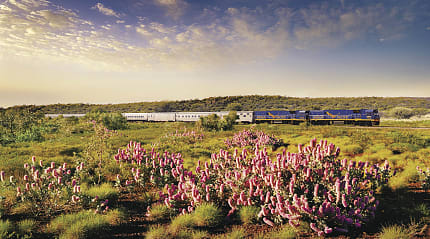The Indian Pacific in Australia. Photo courtesy Great Southern Rail