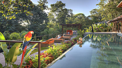 Nayara Springs lap pool in Costa Rica. Photo courtesy Nayara Resorts
