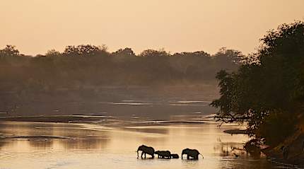 South Luangwa river, Zambia.