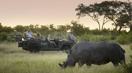"Travelers on a safari game drive watch a rhinoceros grazing in the South African bushveld