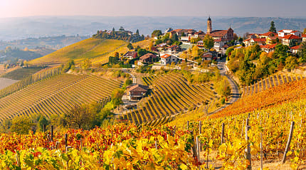 Autumn vineyards in the Piedmont region of Italy