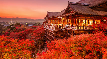Vibrant red autumn foliage at Kiyomizu-dera Temple in Kyoto, Japan