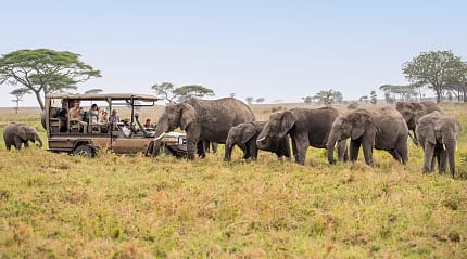 Eastern Serengeti, Tanzania