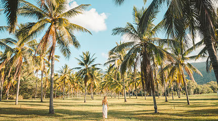 Tropical beach in Australia