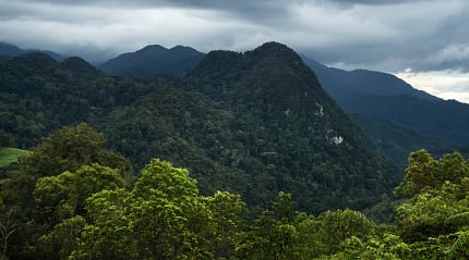 Gunung National Park, Indonesia.