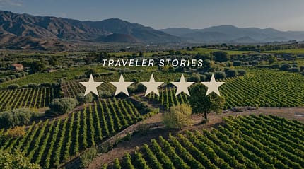 Vineyards in Sicily, Italy