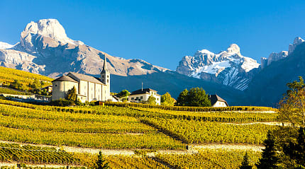 Vineyards in Valais, Switzerland