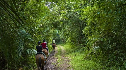 Horseback riding in Belize