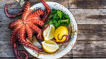 Big boiled octopus with lemon and parsley rustic style, Italy