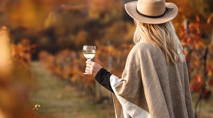 Vineyard in Adelaide Hills, Australia