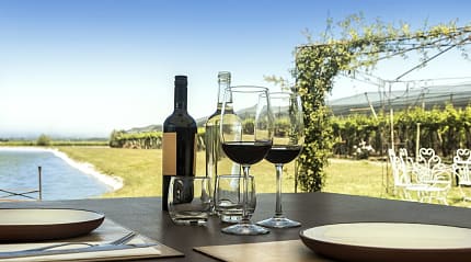 Wine in the Mendoza vineyards.