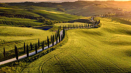 Road in Val d'Orcia at sunset, Tuscany.