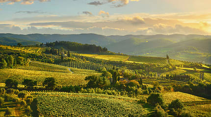 Vineyards around Panzano in Tuscany, Italy