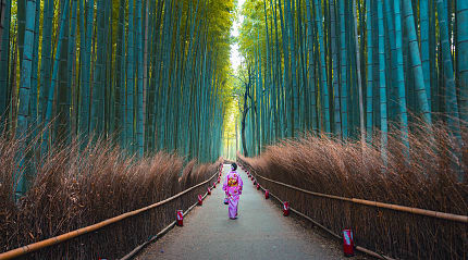 The Arashiyama bamboo forest in Kyoto