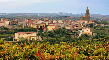 Haro vineyards in the La Rioja region of Spain
